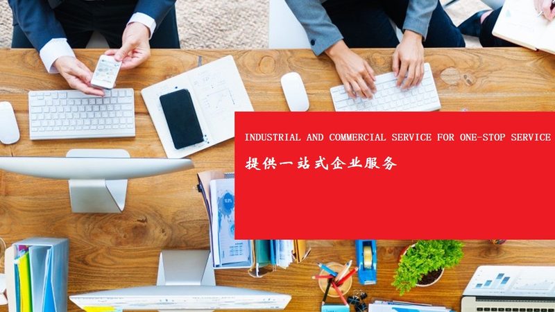 企业决策的指南针：可行性研究报告分类规范解析